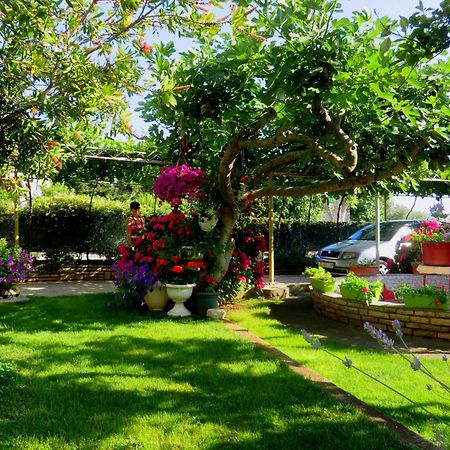 Beach Apartments Roza - The Garden Apartment Weißenburg Exterior foto