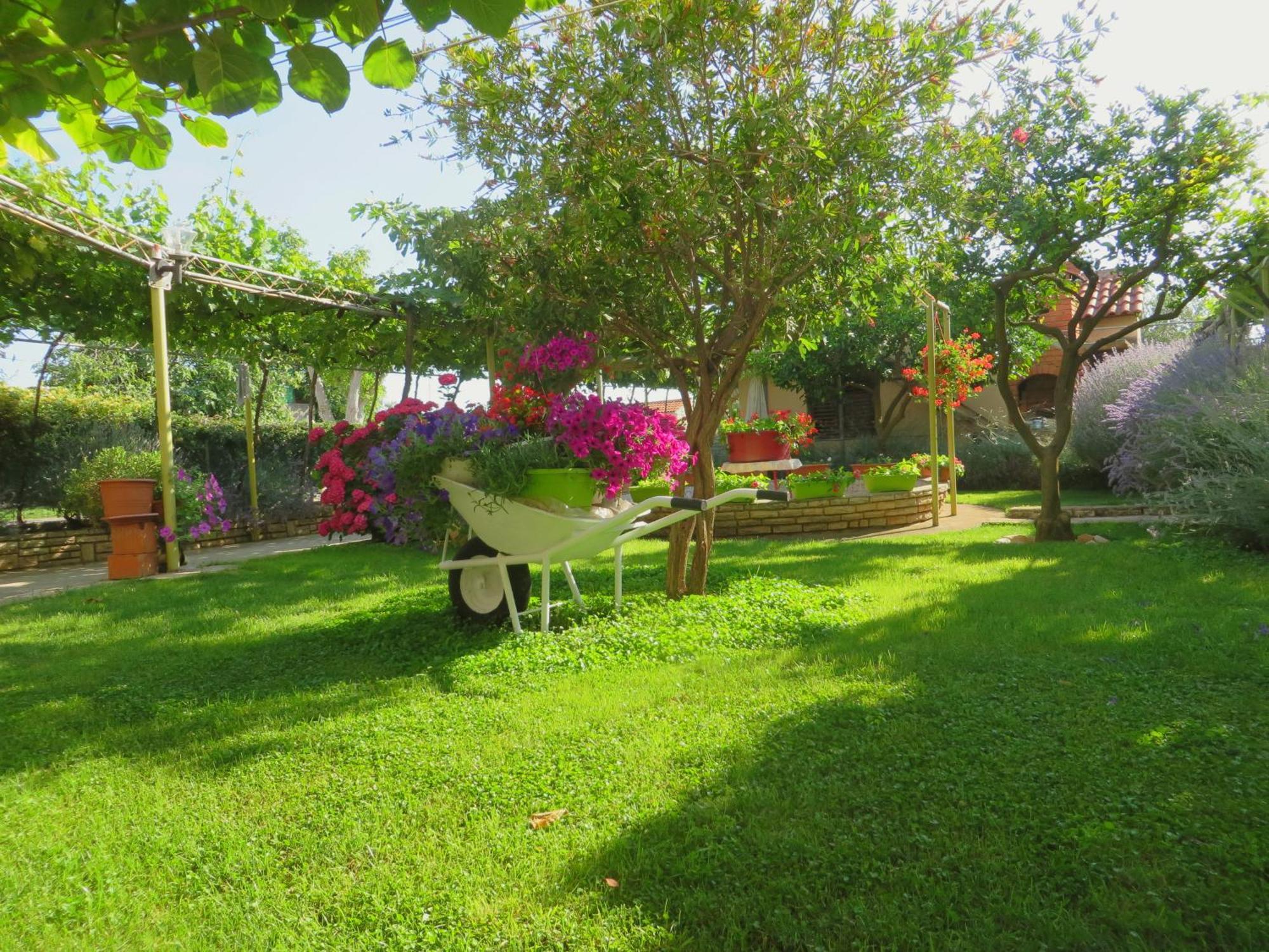 Beach Apartments Roza - The Garden Apartment Weißenburg Exterior foto
